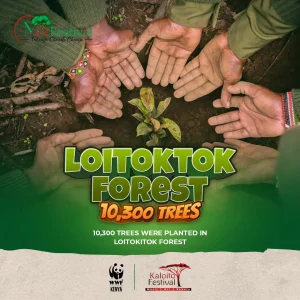 MITI FESTIVAL Tree Planting Exercise Surpasses Expectations, Kaloito